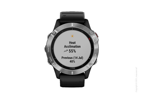 Спортивные часы Garmin Fenix 6 Silver with Black Band