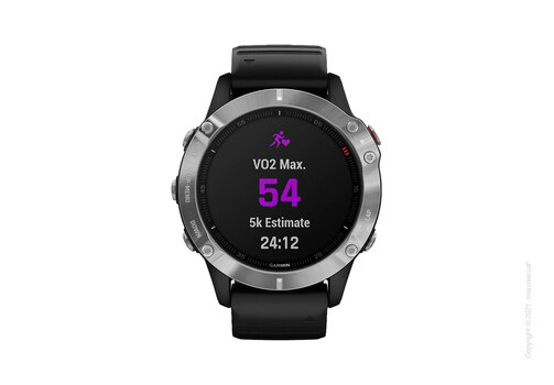 Спортивные часы Garmin Fenix 6 Silver with Black Band
