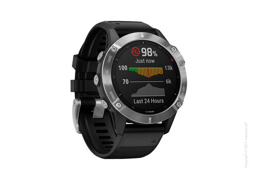 Спортивные часы Garmin Fenix 6 Silver with Black Band