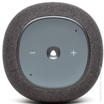 JBL Link Music Grey