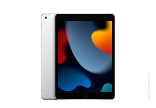 Apple iPad 10.2 Wi-Fi + Cellular 256GB, Silver