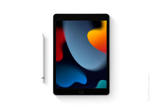 Apple iPad 10.2 Wi-Fi + Cellular 256GB, Silver