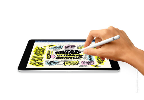 Apple iPad 10.2 Wi-Fi + Cellular 256GB, Silver