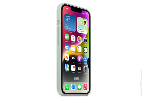 Apple iPhone 14 Silicone Case with MagSafe - Succulent