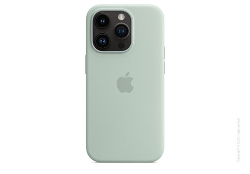 Apple iPhone 14 Pro Silicone Case with MagSafe - Succulent