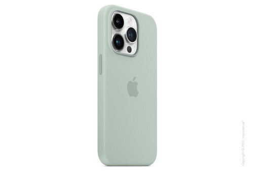 Apple iPhone 14 Pro Silicone Case with MagSafe - Succulent