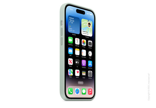 Apple iPhone 14 Pro Silicone Case with MagSafe - Succulent