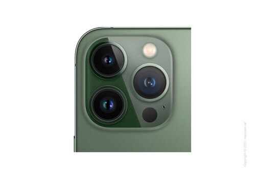 Б/У Apple iPhone 13 Pro 1TB, Alpine Green (Идеальный)