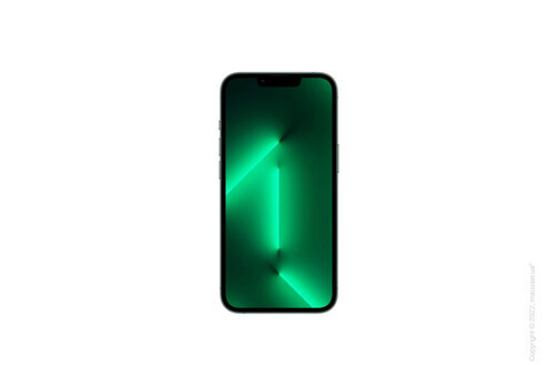 Б/У Apple iPhone 13 Pro Max 1TB, Alpine Green (Идеальный)