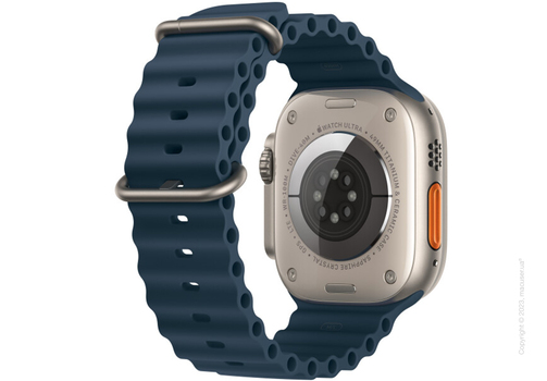 Apple Watch Ultra 2 49mm GPS + LTE Titanium Case with Blue Ocean Band