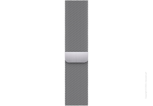 Apple Watch Series 9 41mm GPS + LTE, Silver Stainless Steel Case with Silver Milanese Loop